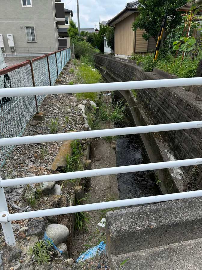 サムネール画像