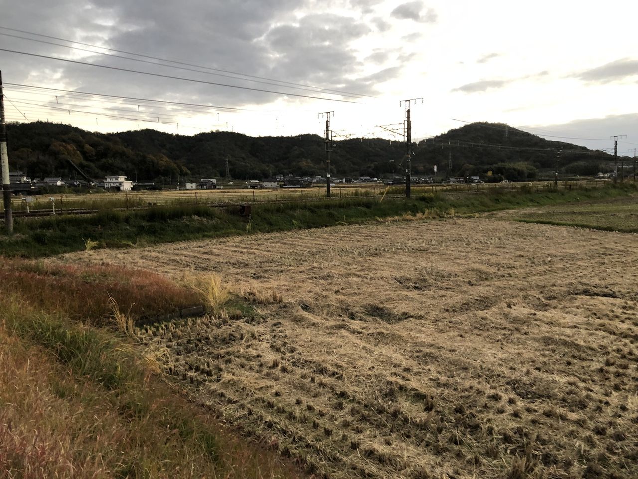 サムネール画像