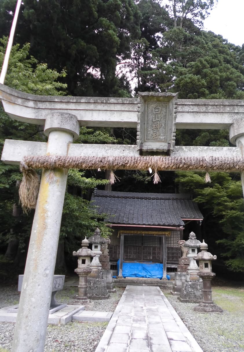 サムネール画像