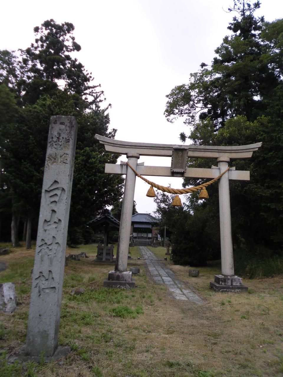 サムネール画像