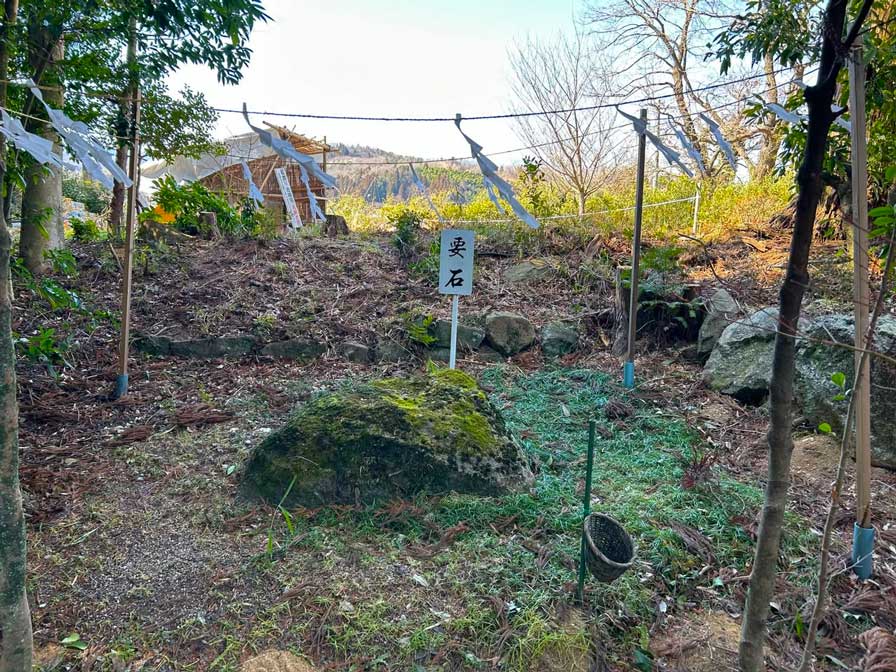 サムネール画像