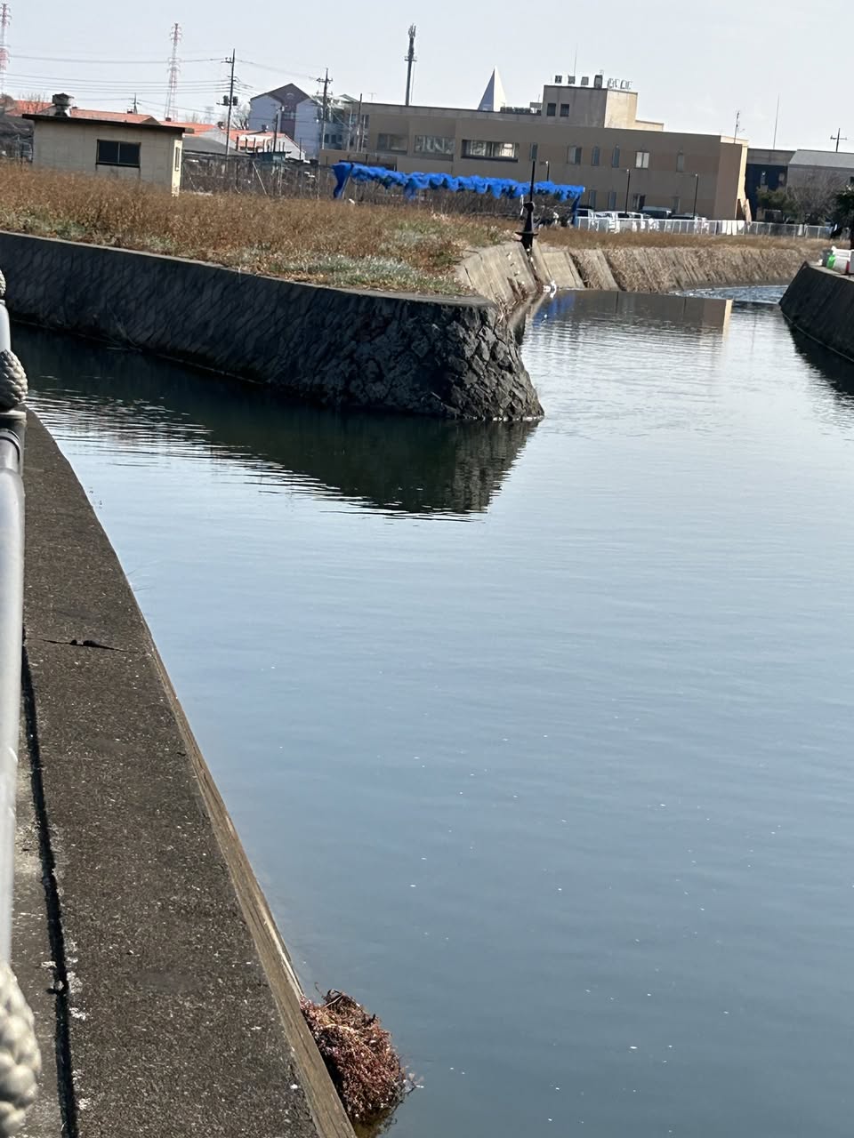 サムネール画像