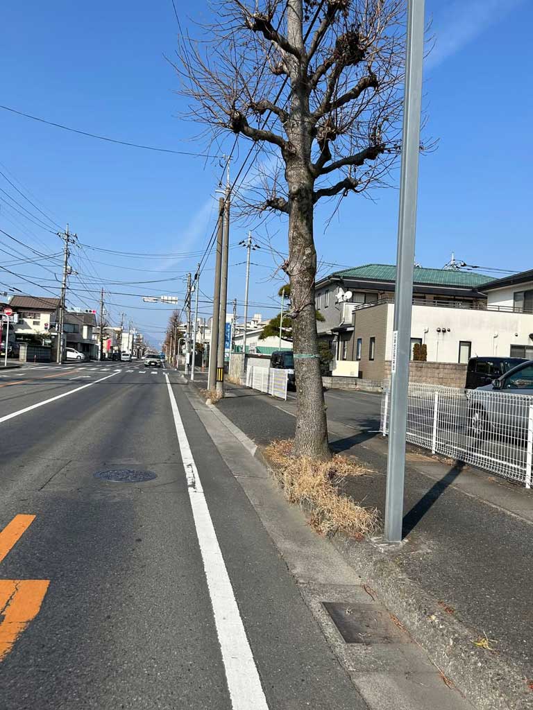 サムネール画像
