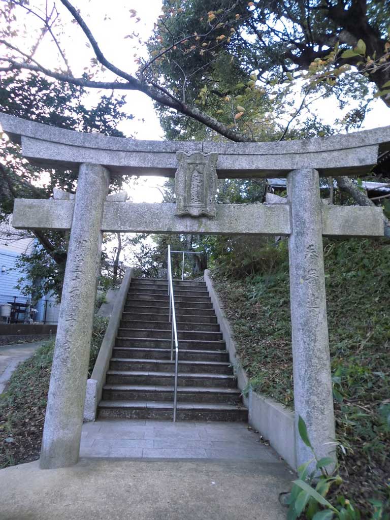 サムネール画像