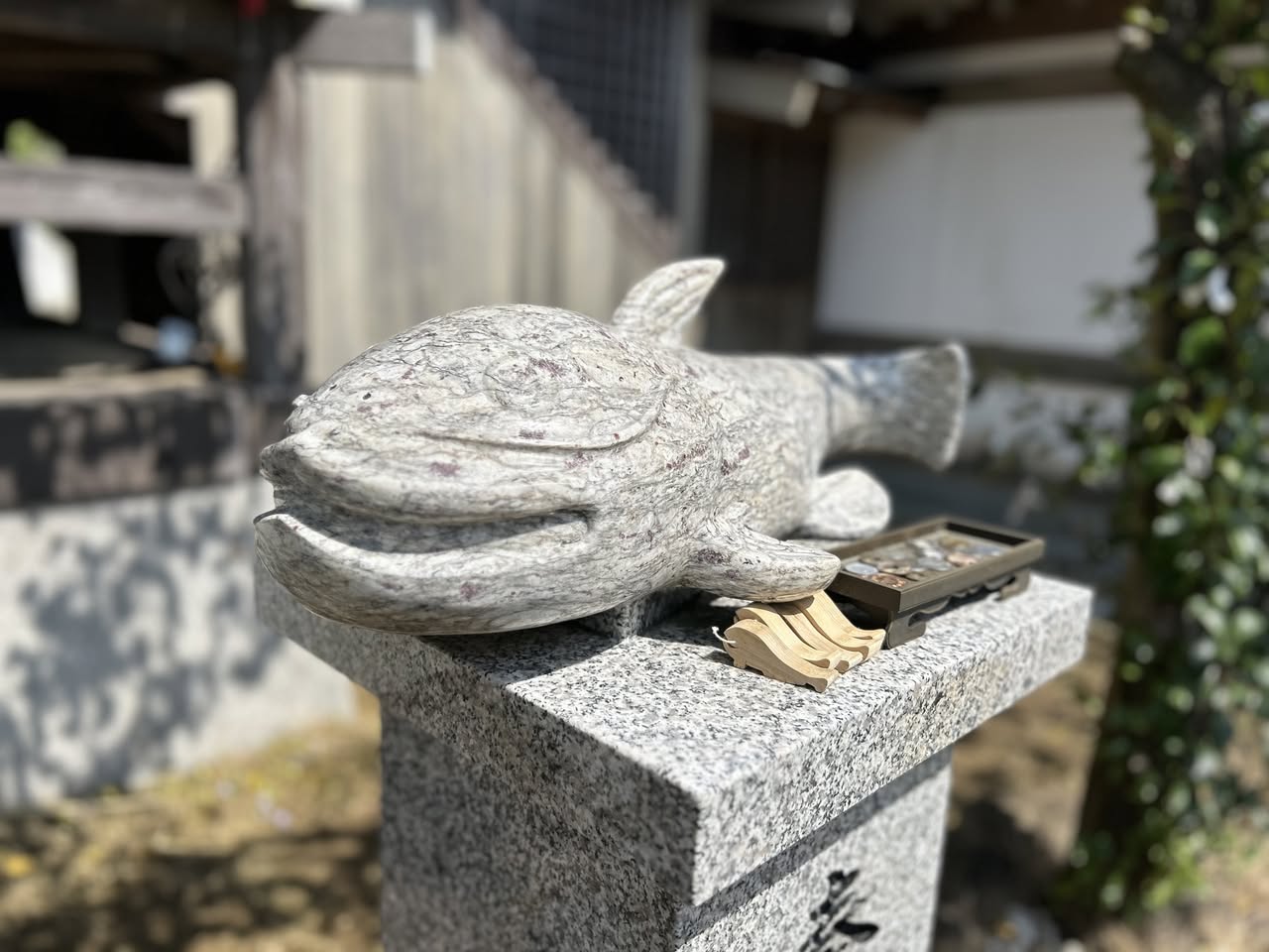 サムネール画像