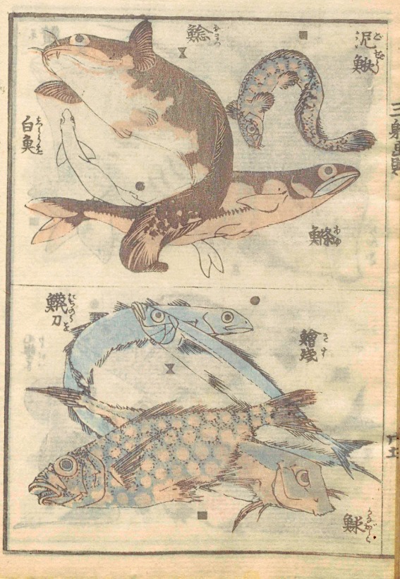 サムネール画像