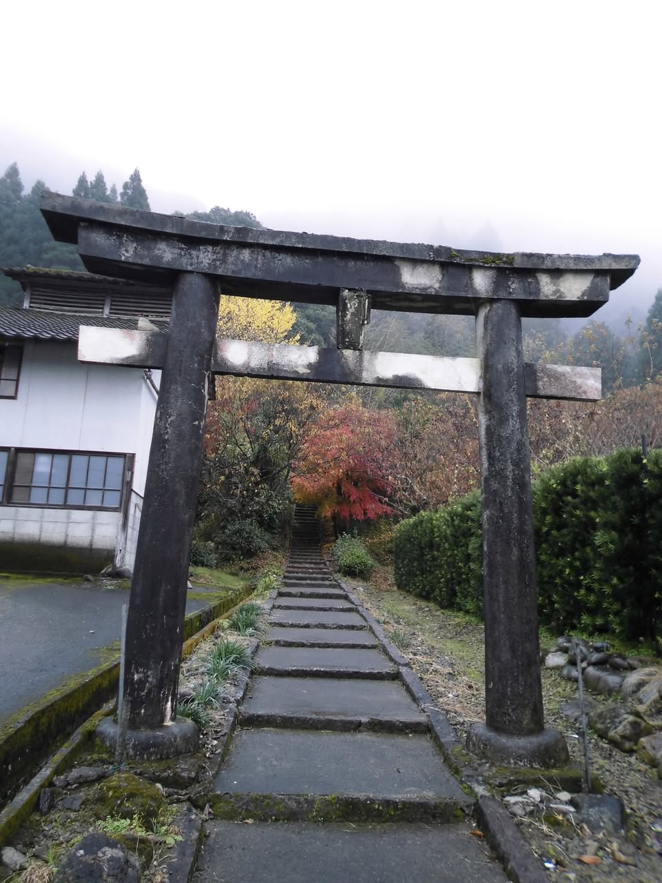 サムネール画像