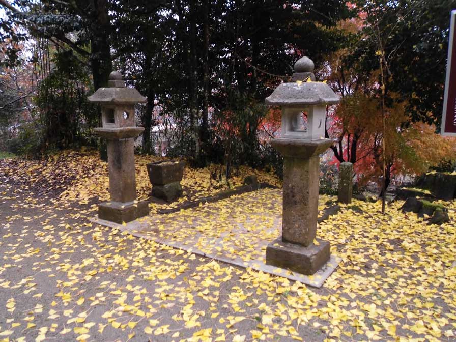 サムネール画像