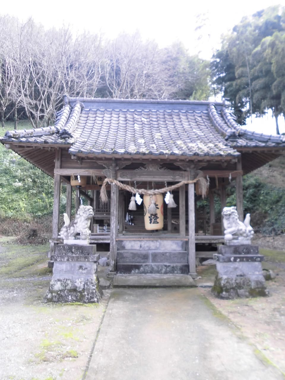 サムネール画像