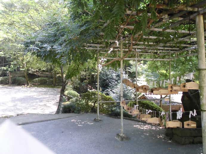 サムネール画像