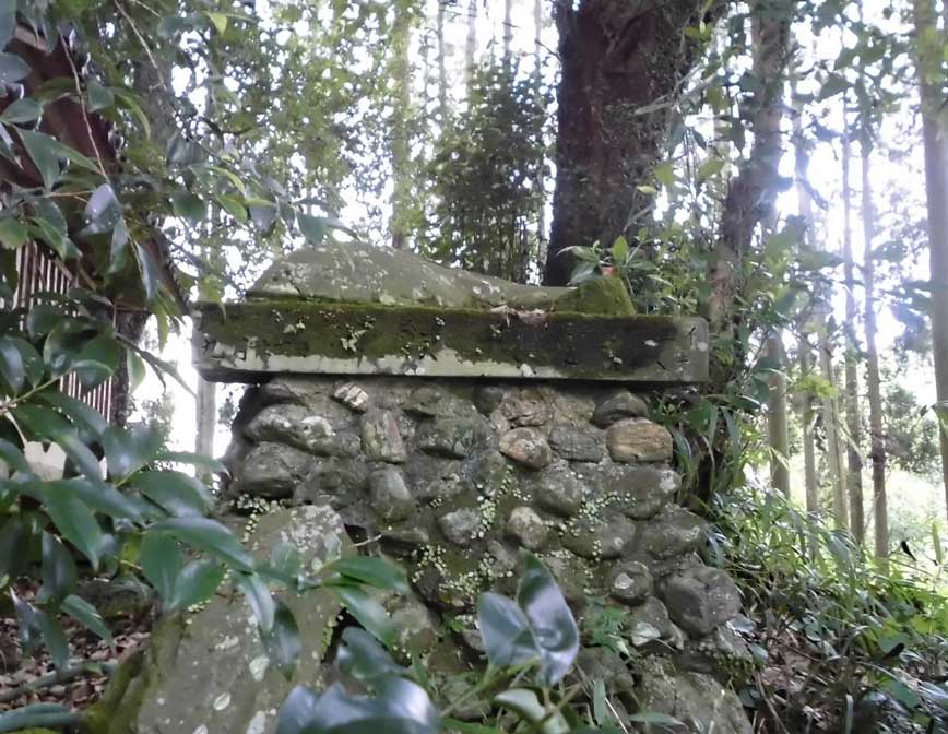 サムネール画像