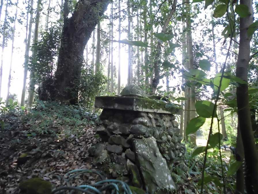 サムネール画像