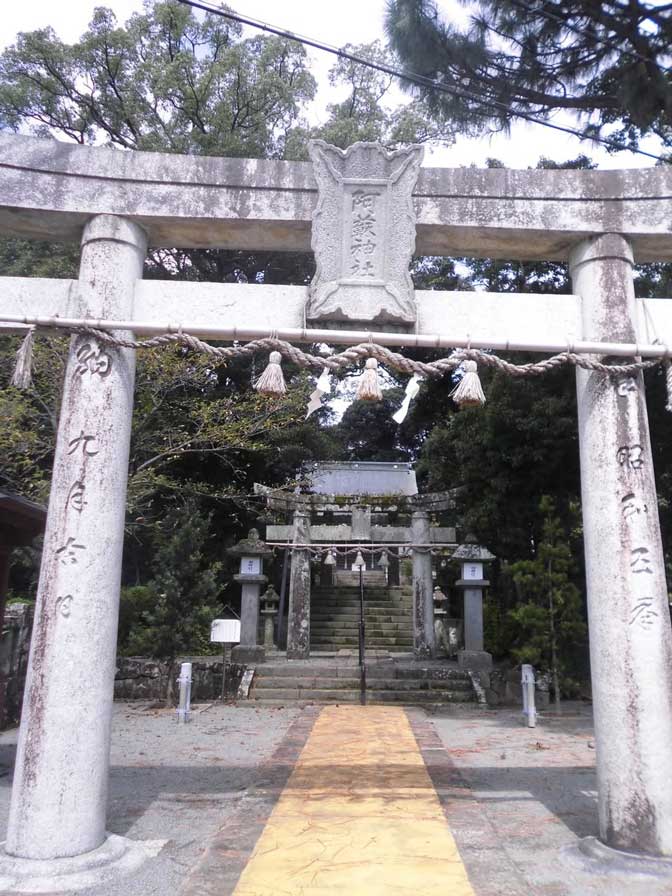 サムネール画像