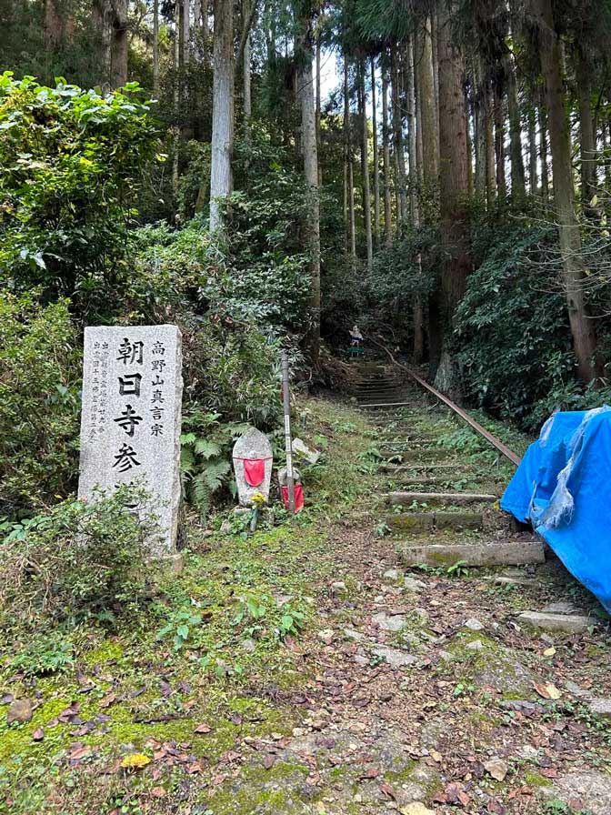 サムネール画像