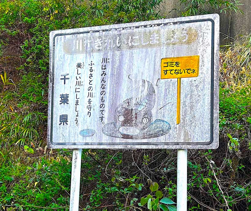サムネール画像