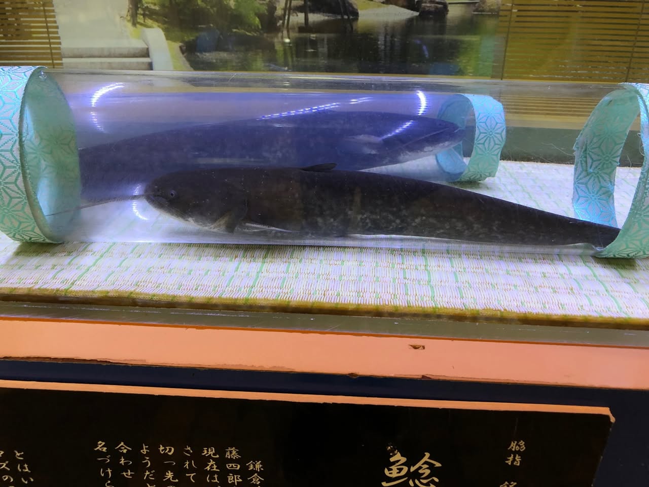 サムネール画像