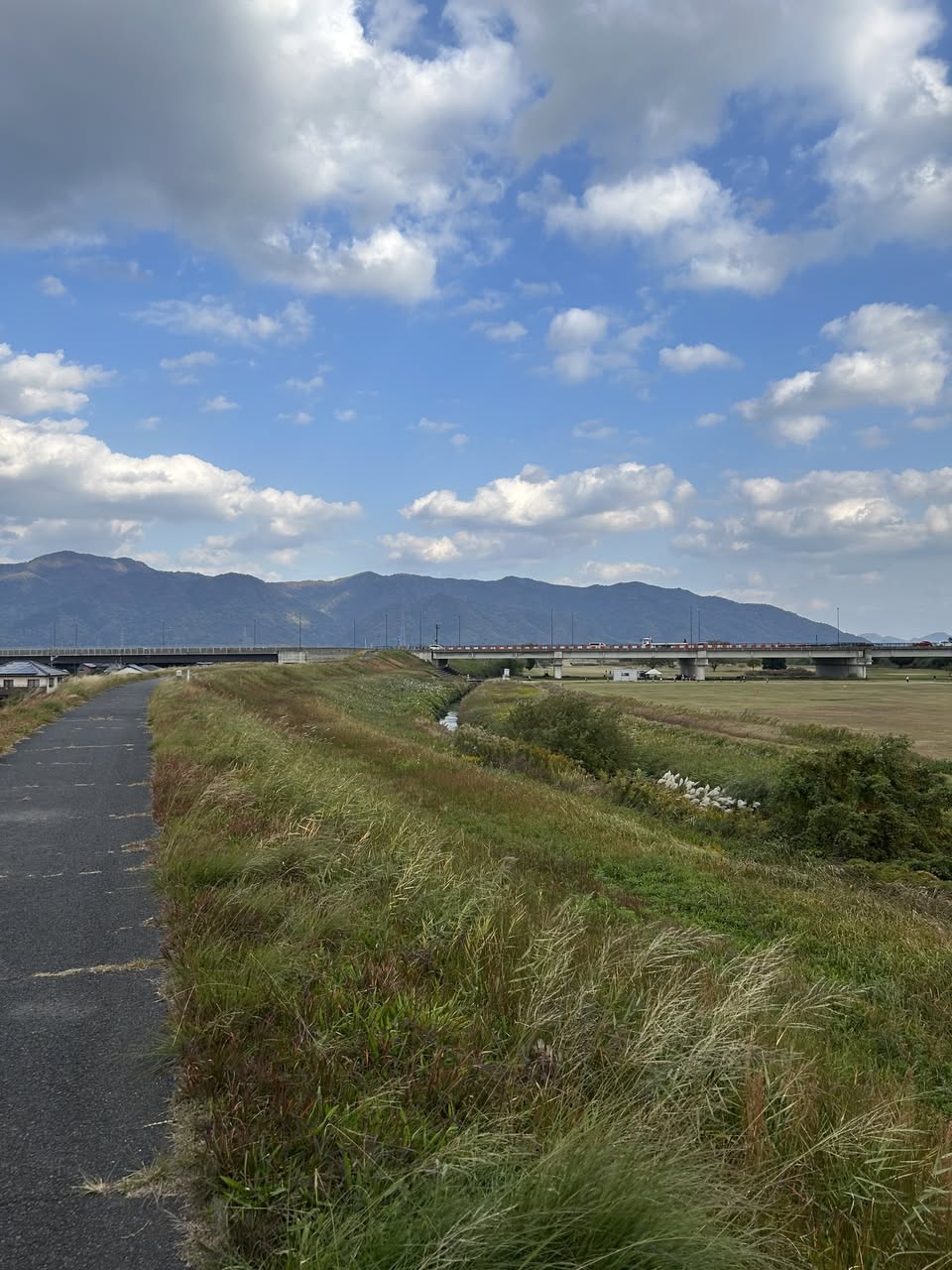 サムネール画像