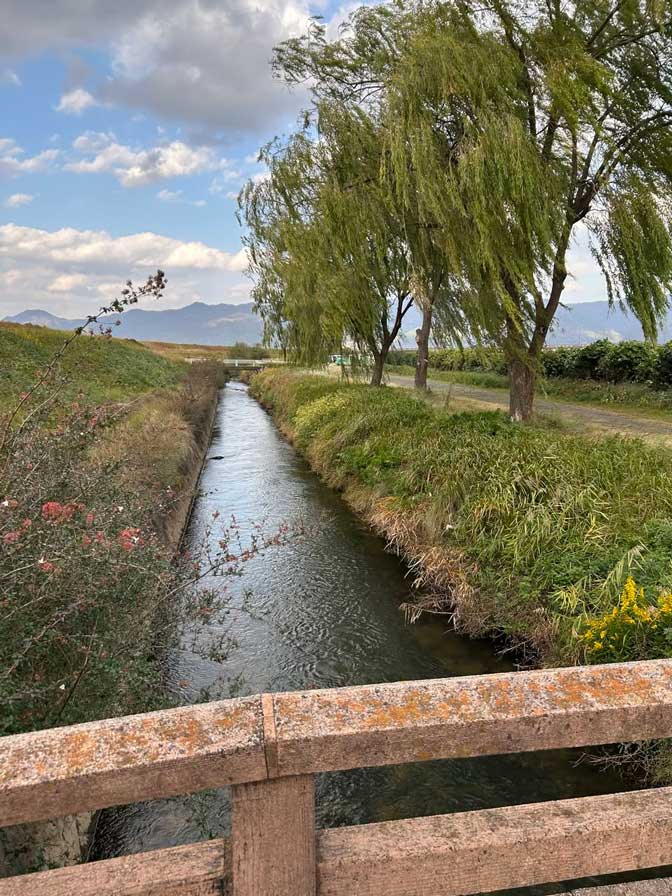 サムネール画像