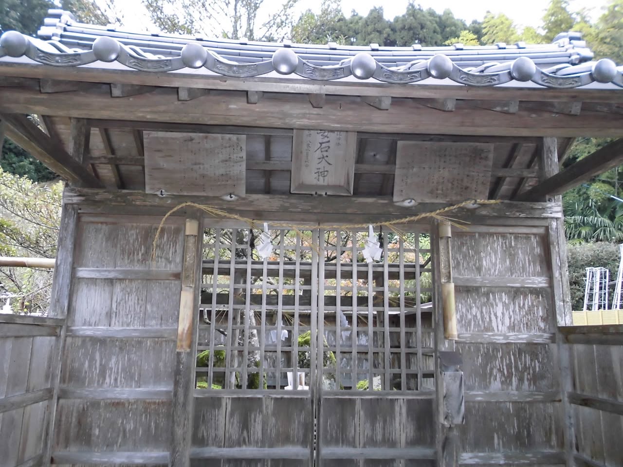 サムネール画像