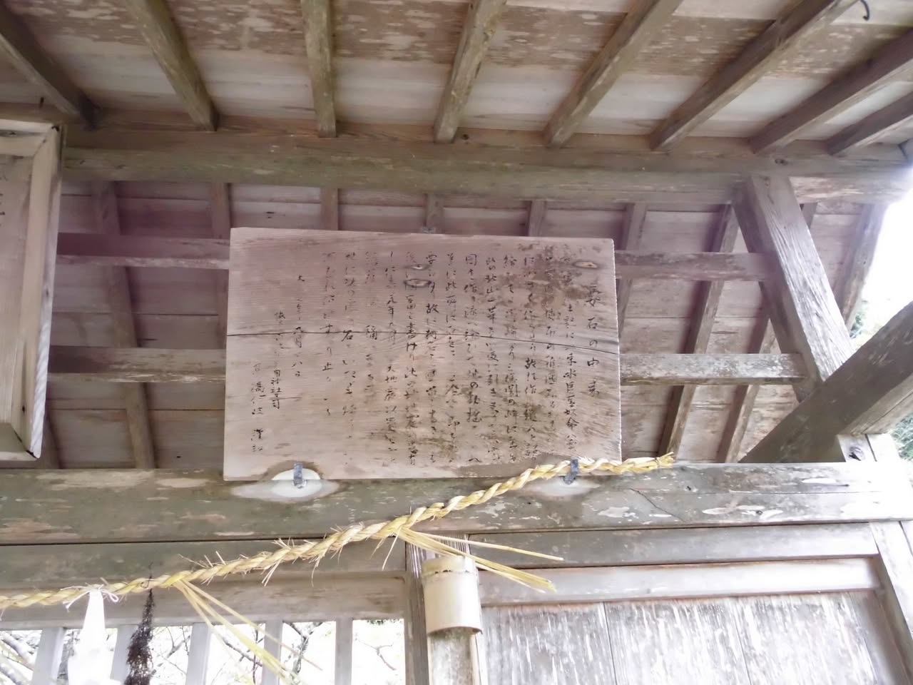 サムネール画像