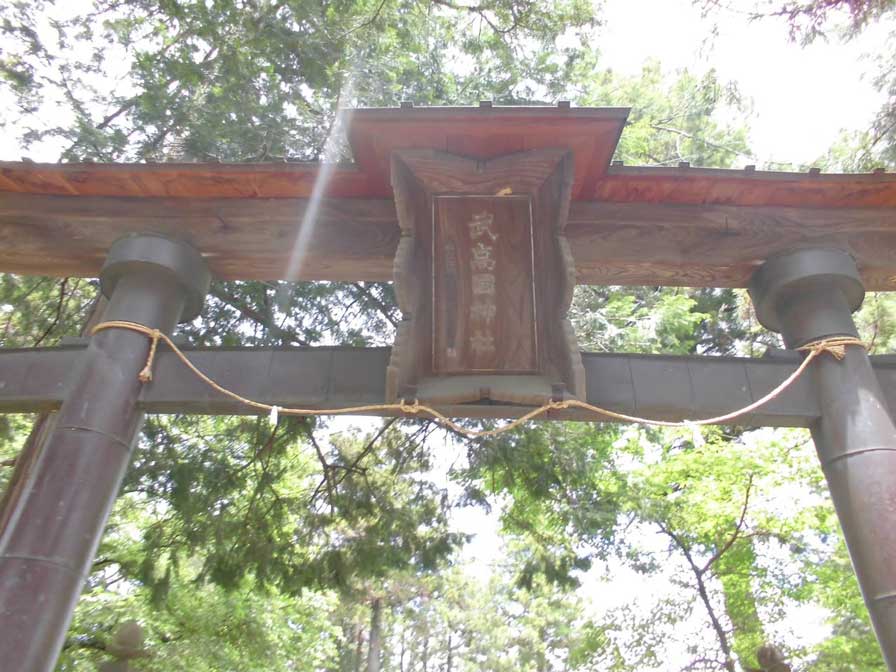 サムネール画像