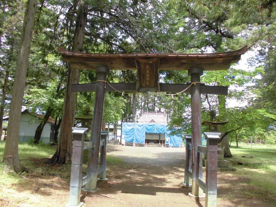 サムネール画像