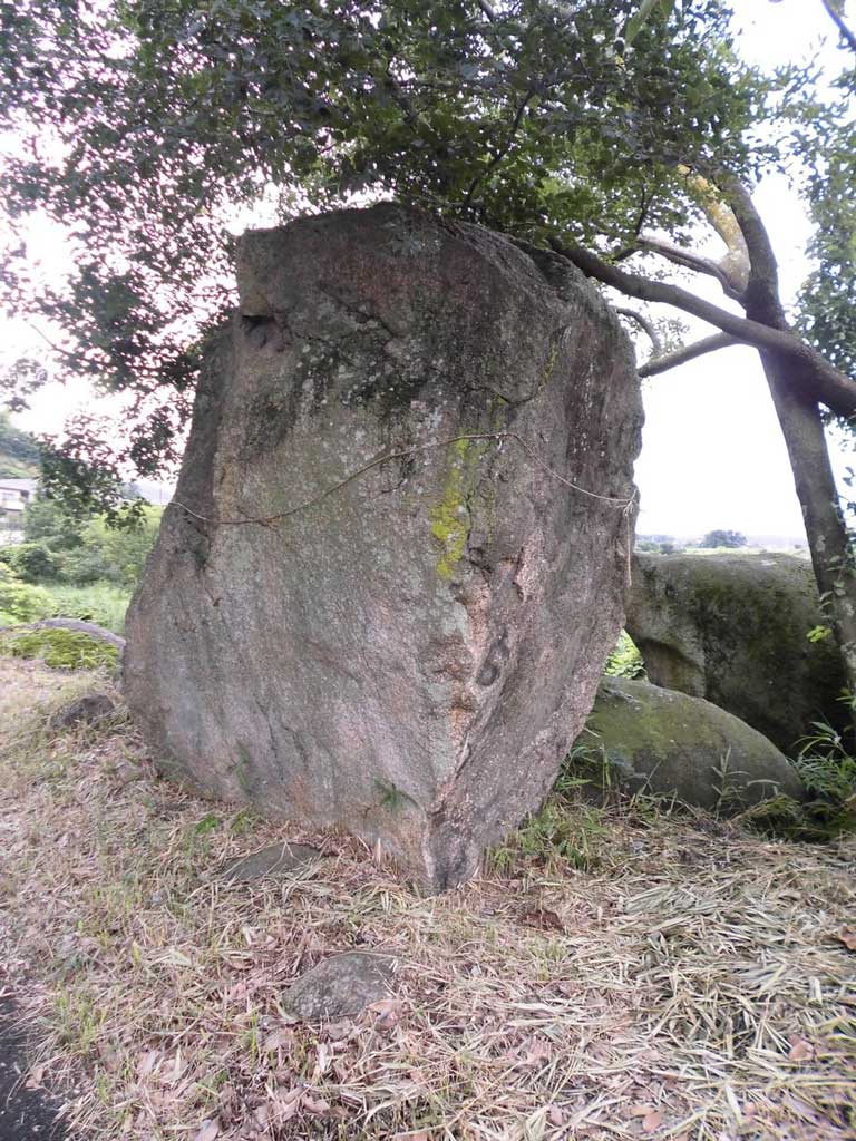 サムネール画像