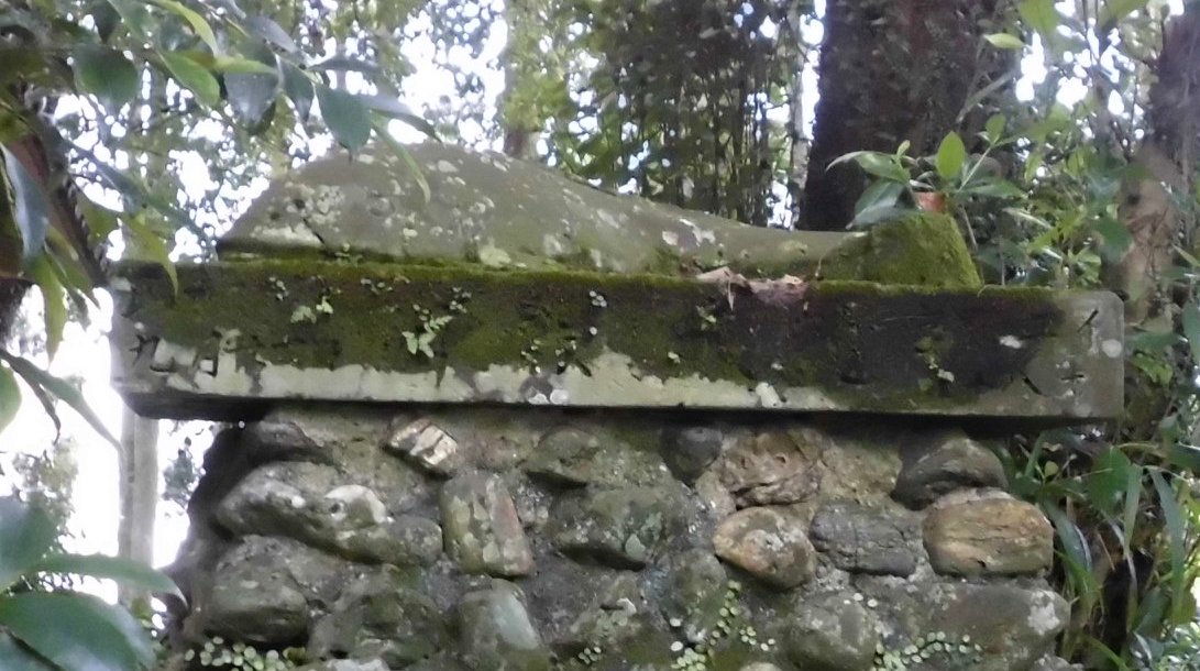 サムネール画像