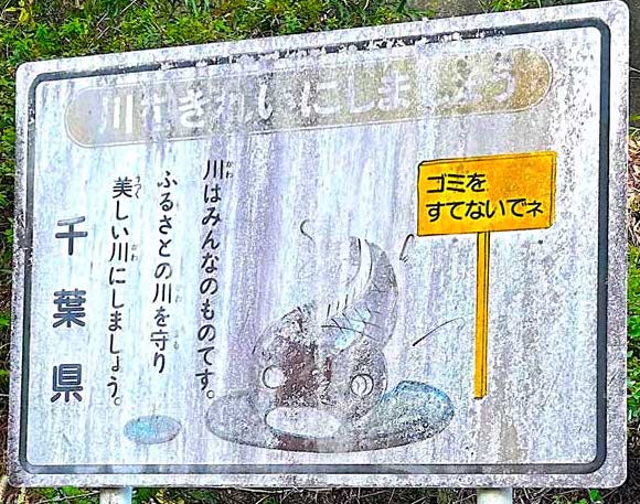 サムネール画像