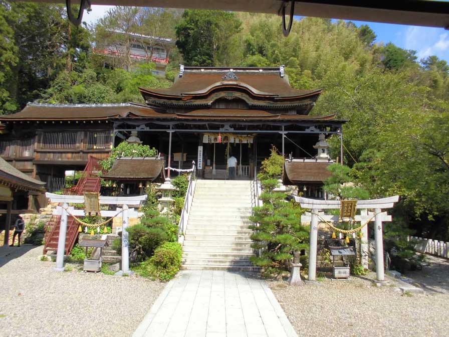 サムネール画像