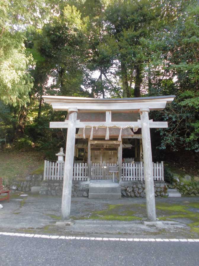 サムネール画像
