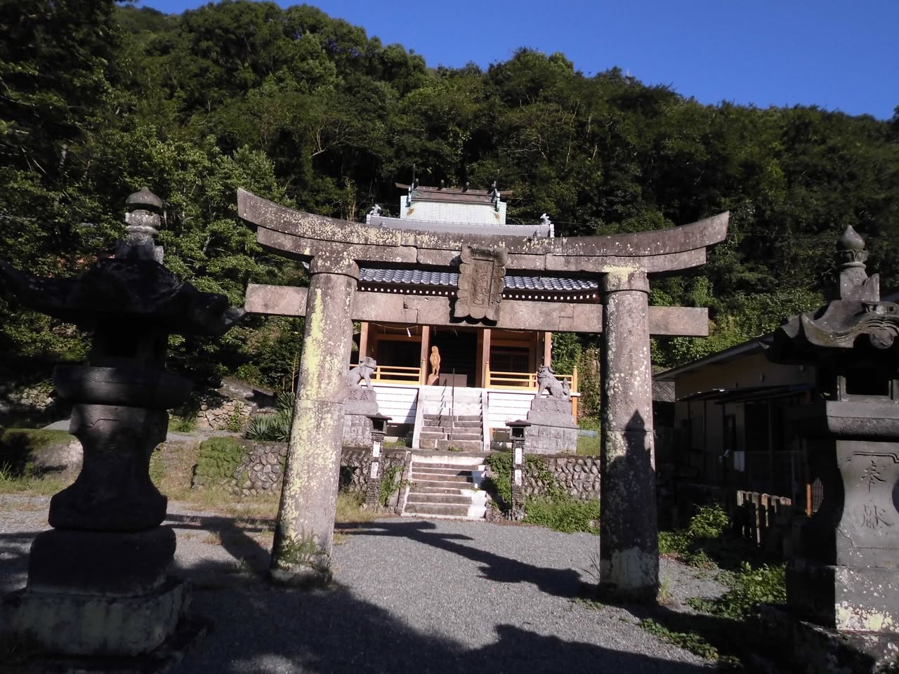 サムネール画像