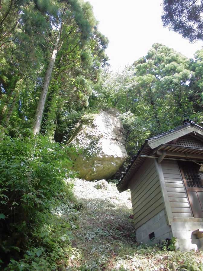 サムネール画像
